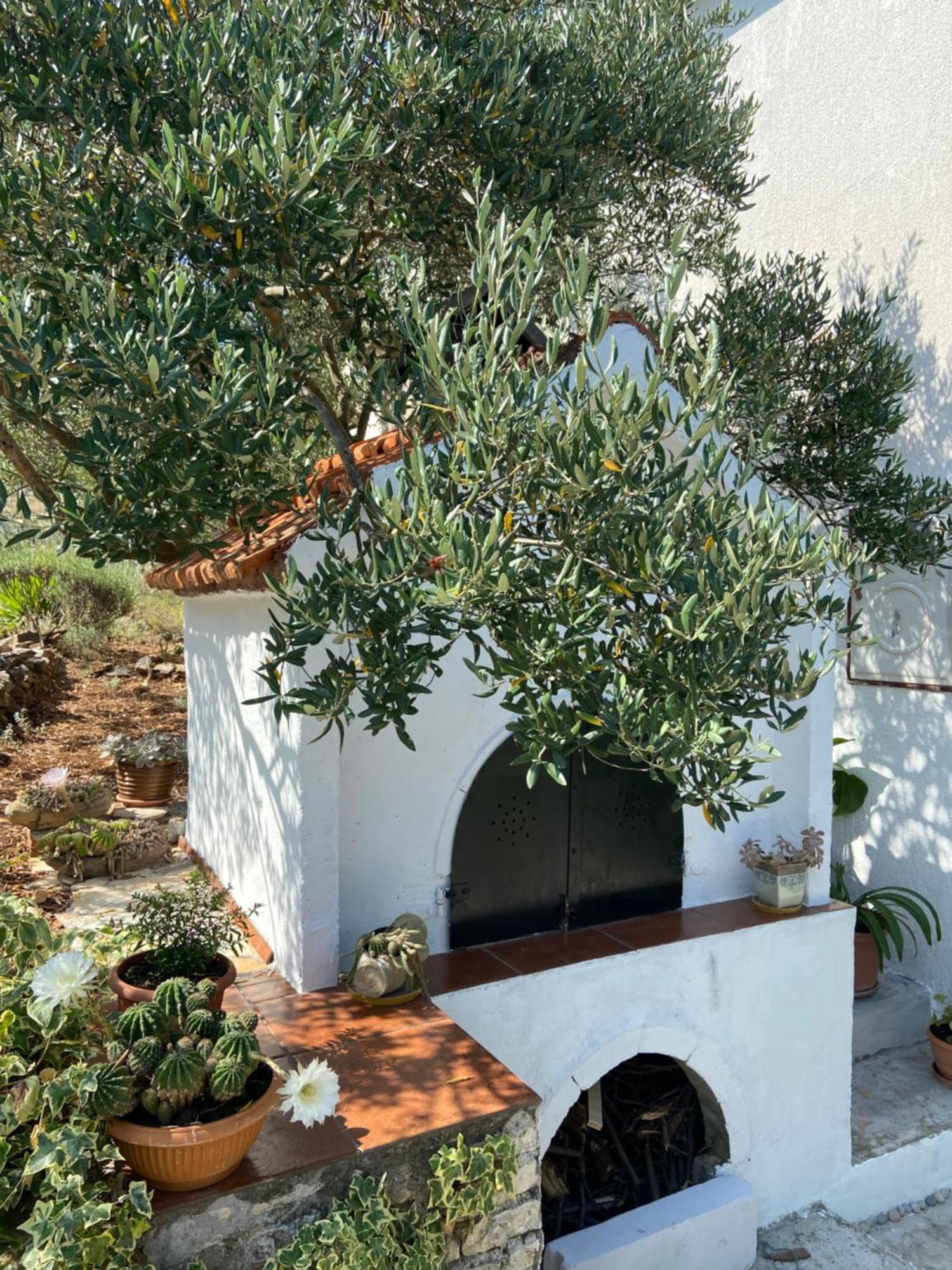 Villa Family House Ljubica Trogir Exterior foto